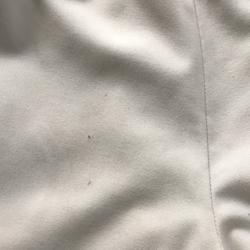 Talbots lined White Ankle Pants donating shirt on - Picture 7 of 7